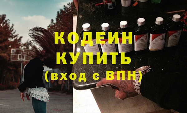 хмурый Карпинск