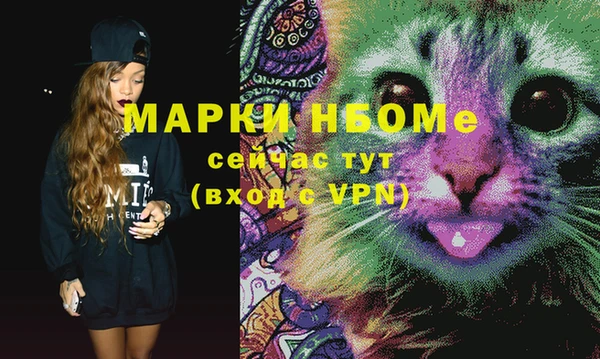 хмурый Карпинск
