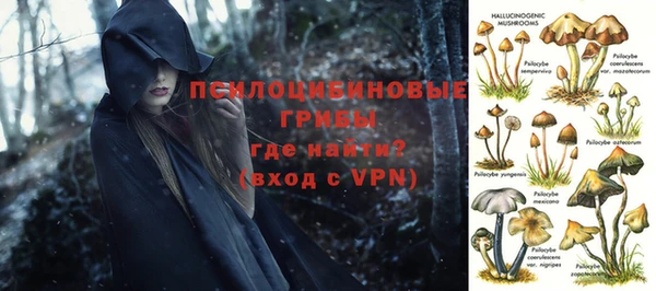 хмурый Карпинск