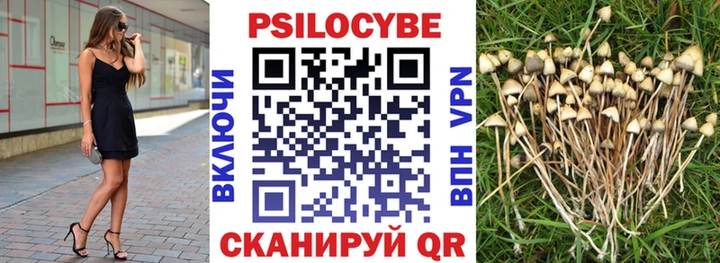 Галлюциногенные грибы Cubensis  купить наркотик  Серпухов 