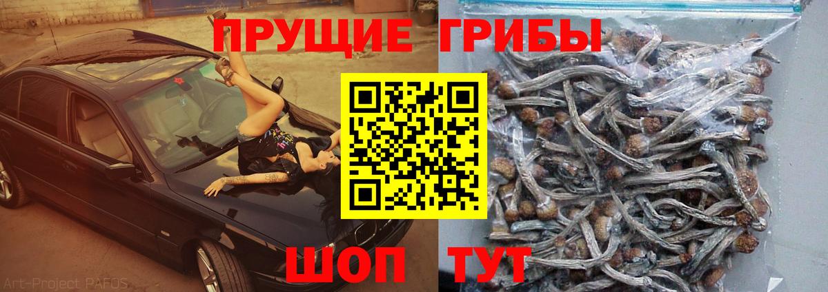 Галлюциногенные грибы Psilocybe  Вход с VPN  Серпухов  Псилоцибиновые грибы MAGIC MUSHROOMS 